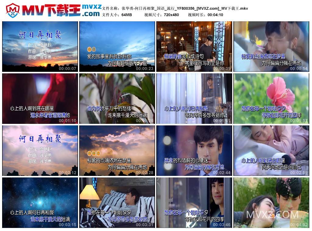 张华勇-何日再相聚_国语_流行_YF800356